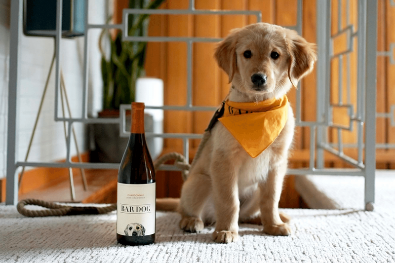 Sipping Wine & Saving Lives