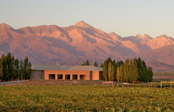 Bodegas Salentein