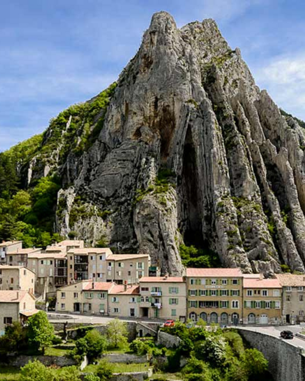 Distilleries & Domaines de Provence