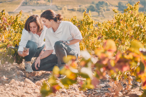 ALEAVINI Spanish Wines