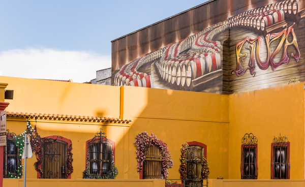 Fiuza Wines