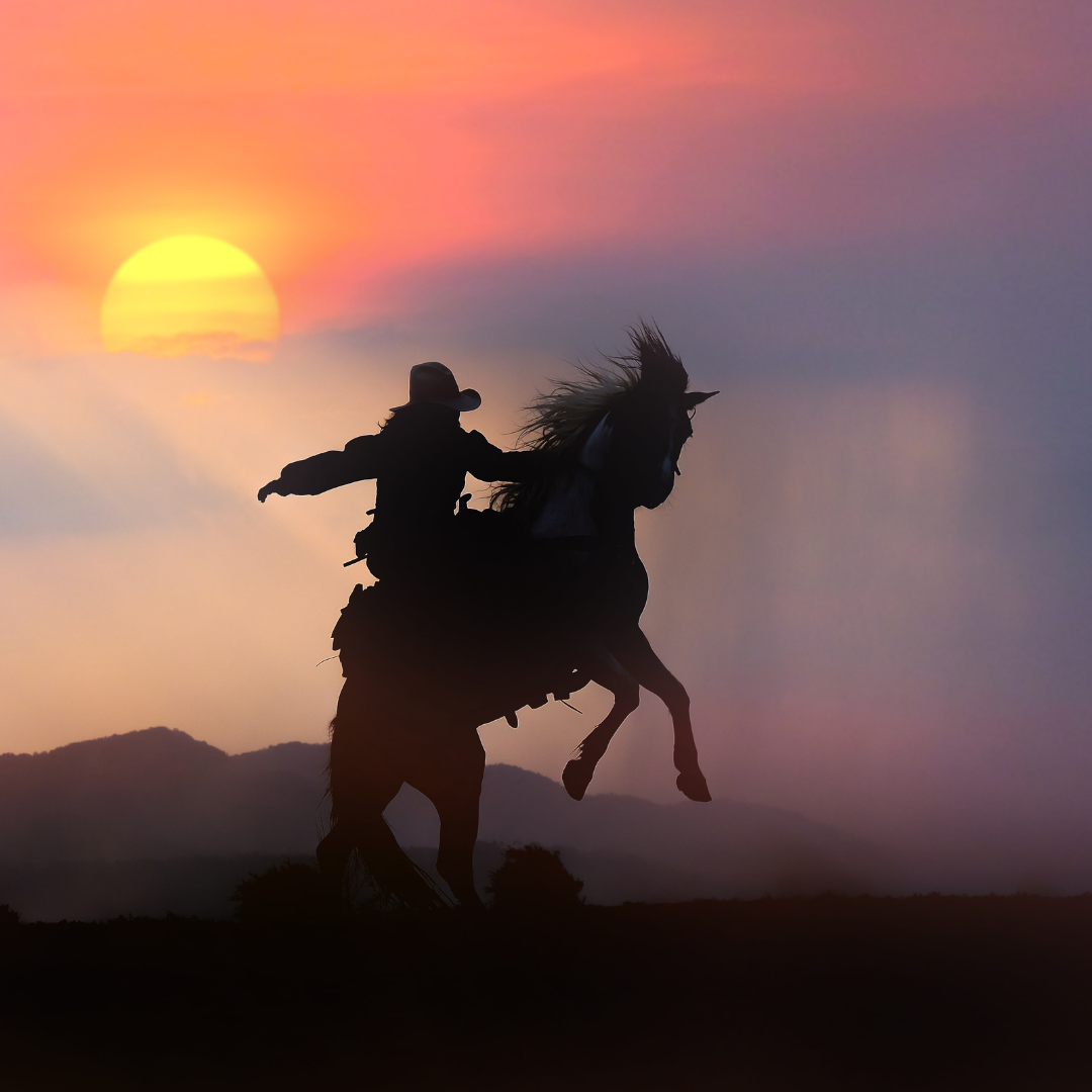 Purple Cowboy