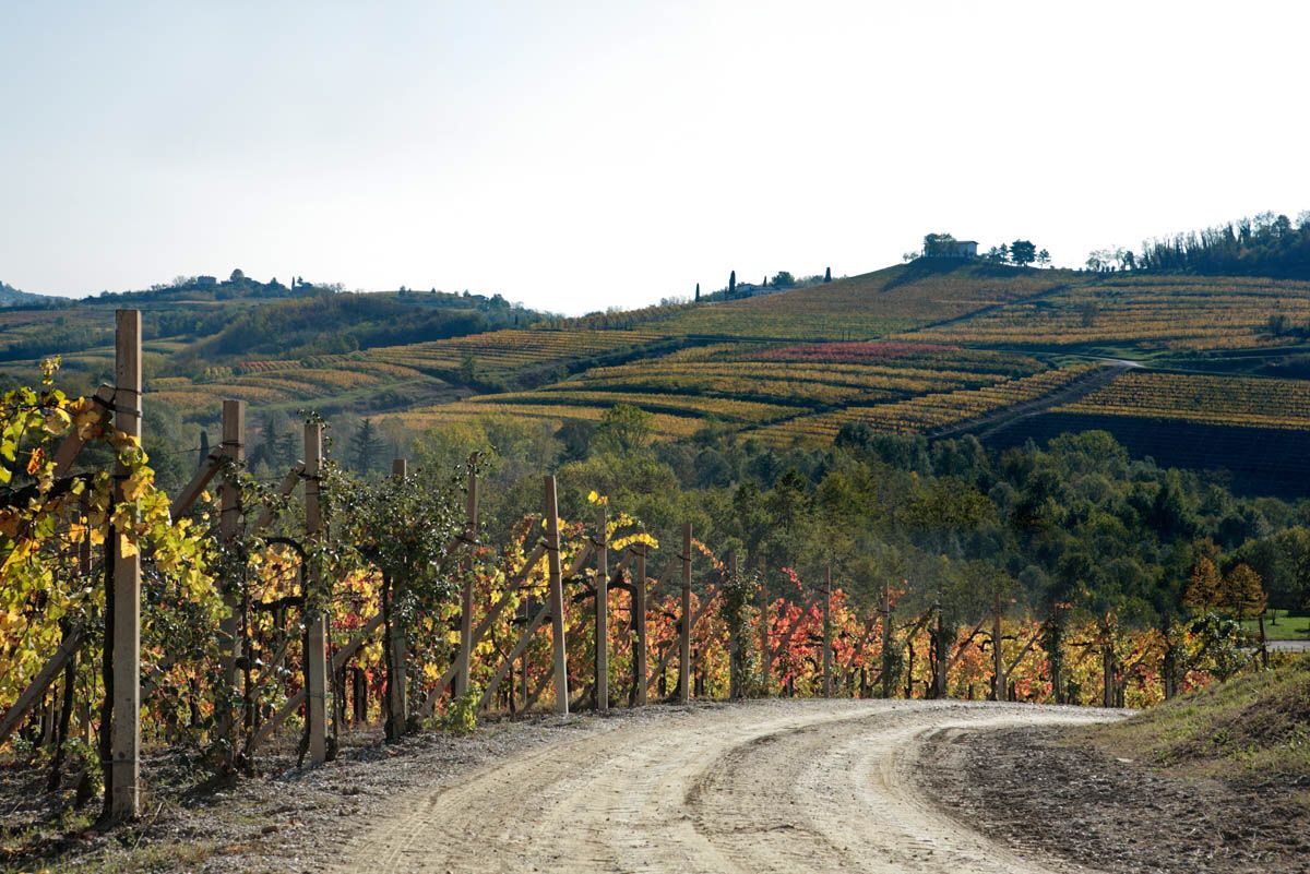 Tenuta Sant Helena Rocciaponca Pinot Grigio DOC Collio