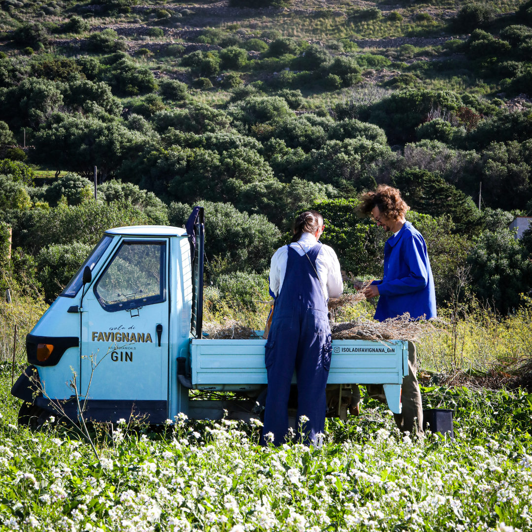 Favignana Sicilian Gin