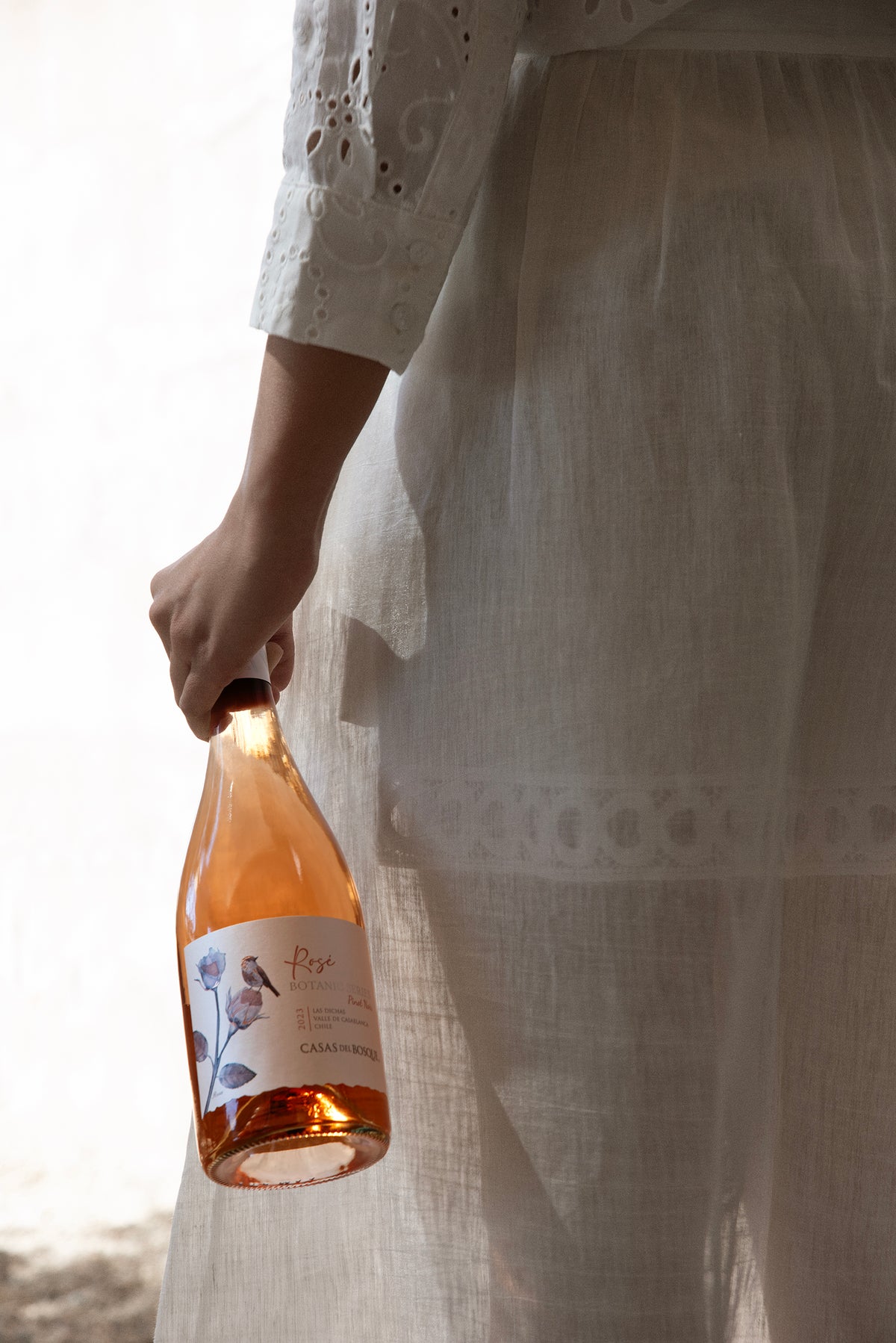 Casas del Bosque Botanic Series Rosé Pinot Noir, Valle de Casablanca
