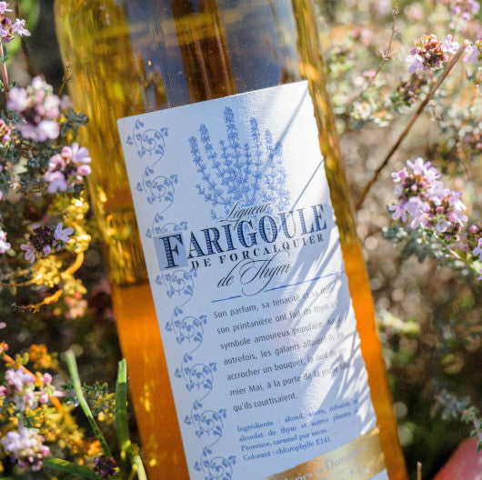 Farigoule de Forcalquier