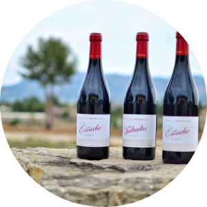 Bodegas Enrique Mendoza