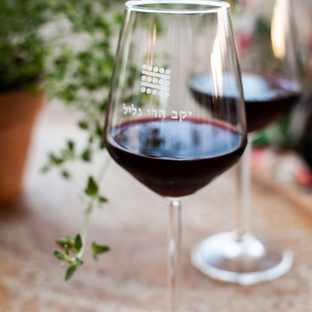 Galil Mountain Merlot KP
