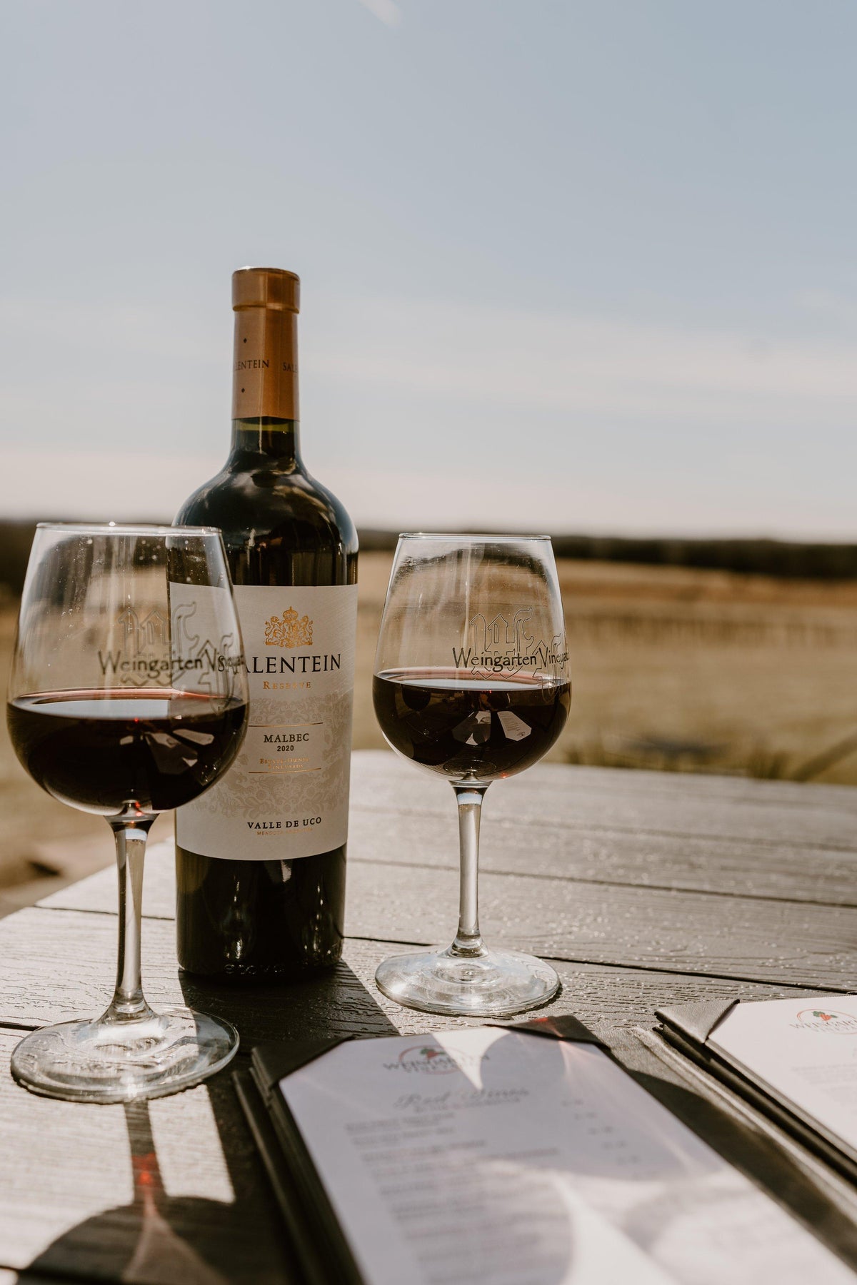 Salentein Reserve Malbec