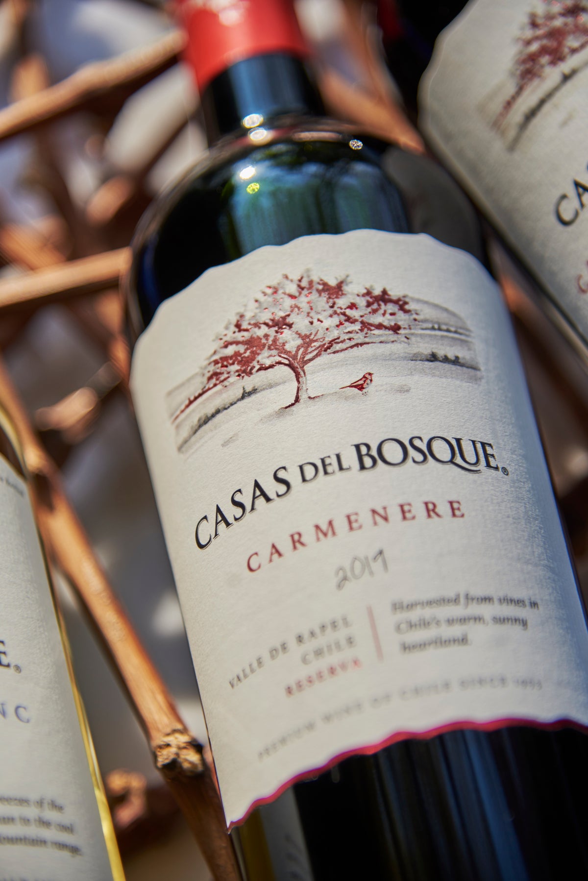 Casas del Bosque Reserva Carmenere