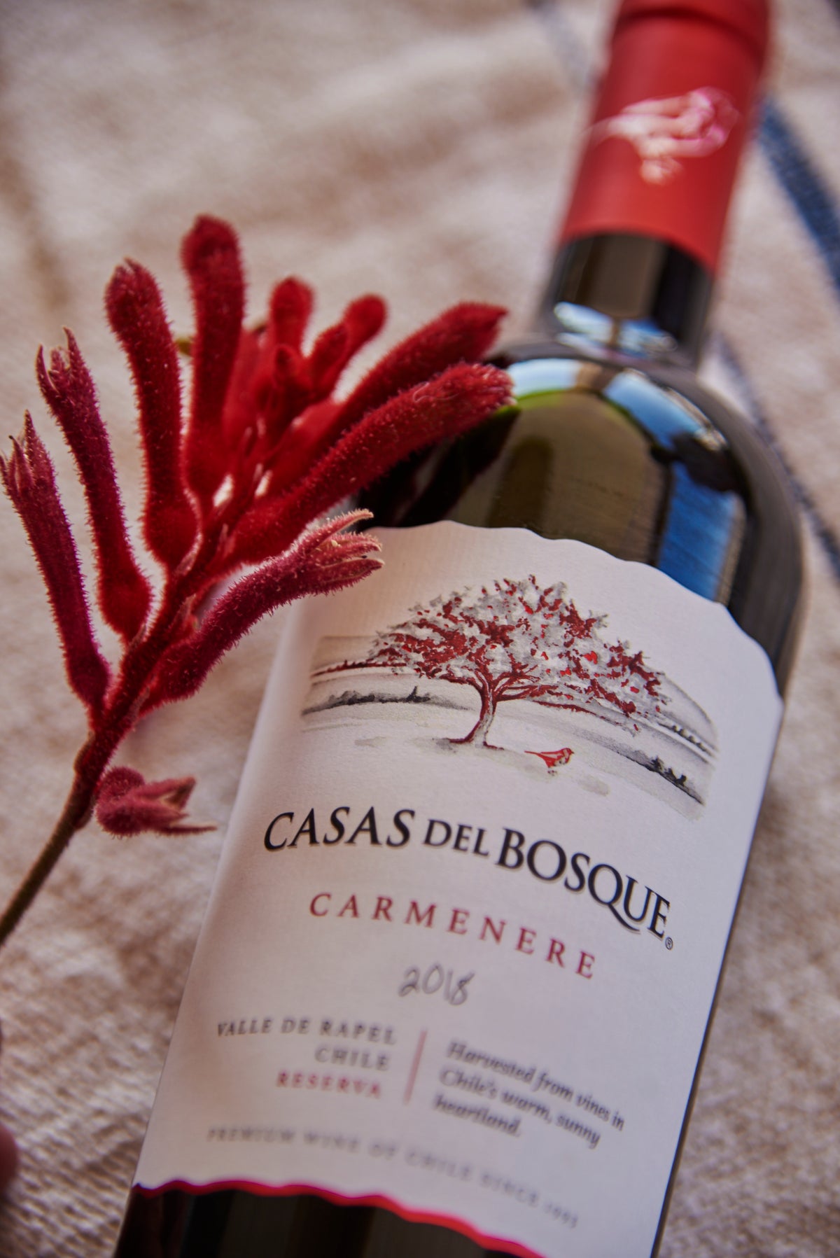Casas del Bosque Reserva Carmenere