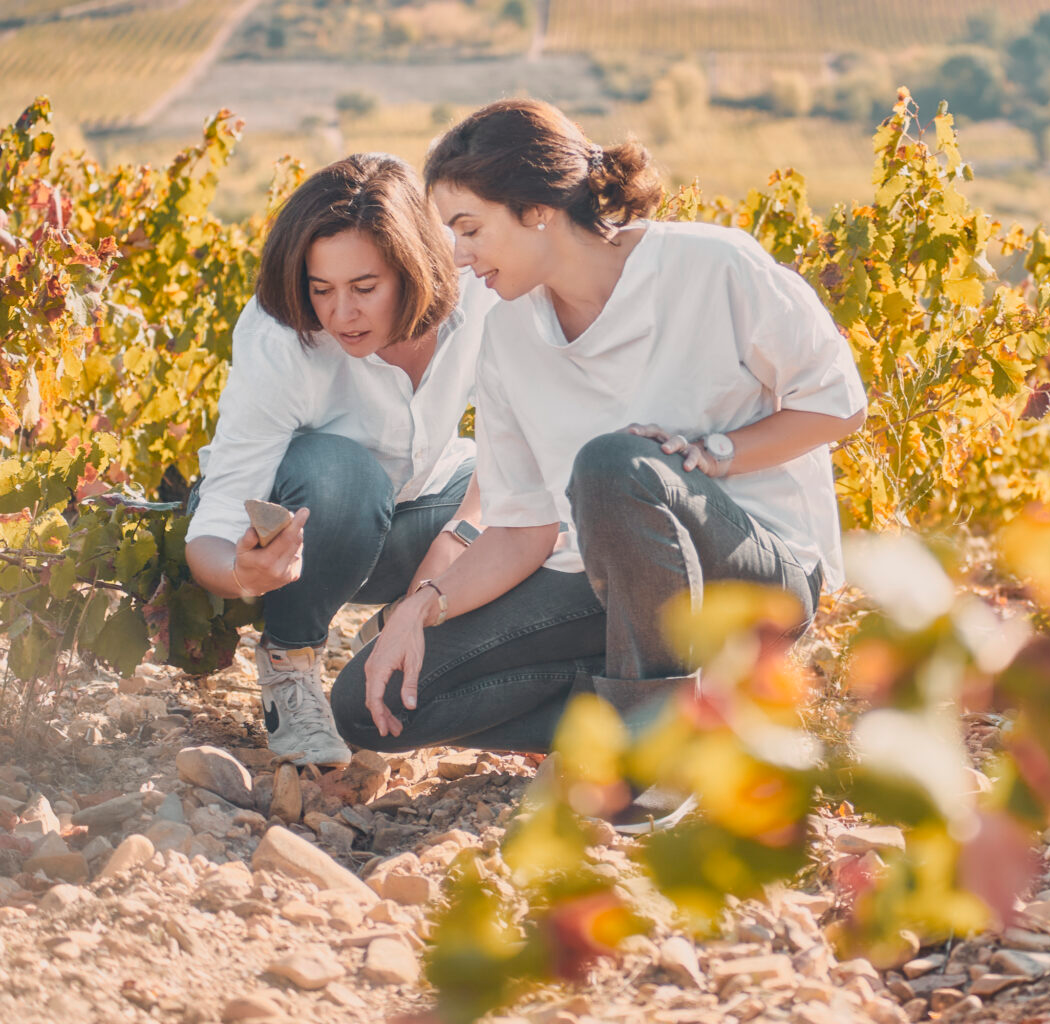 ALEAVINI Spanish Wines