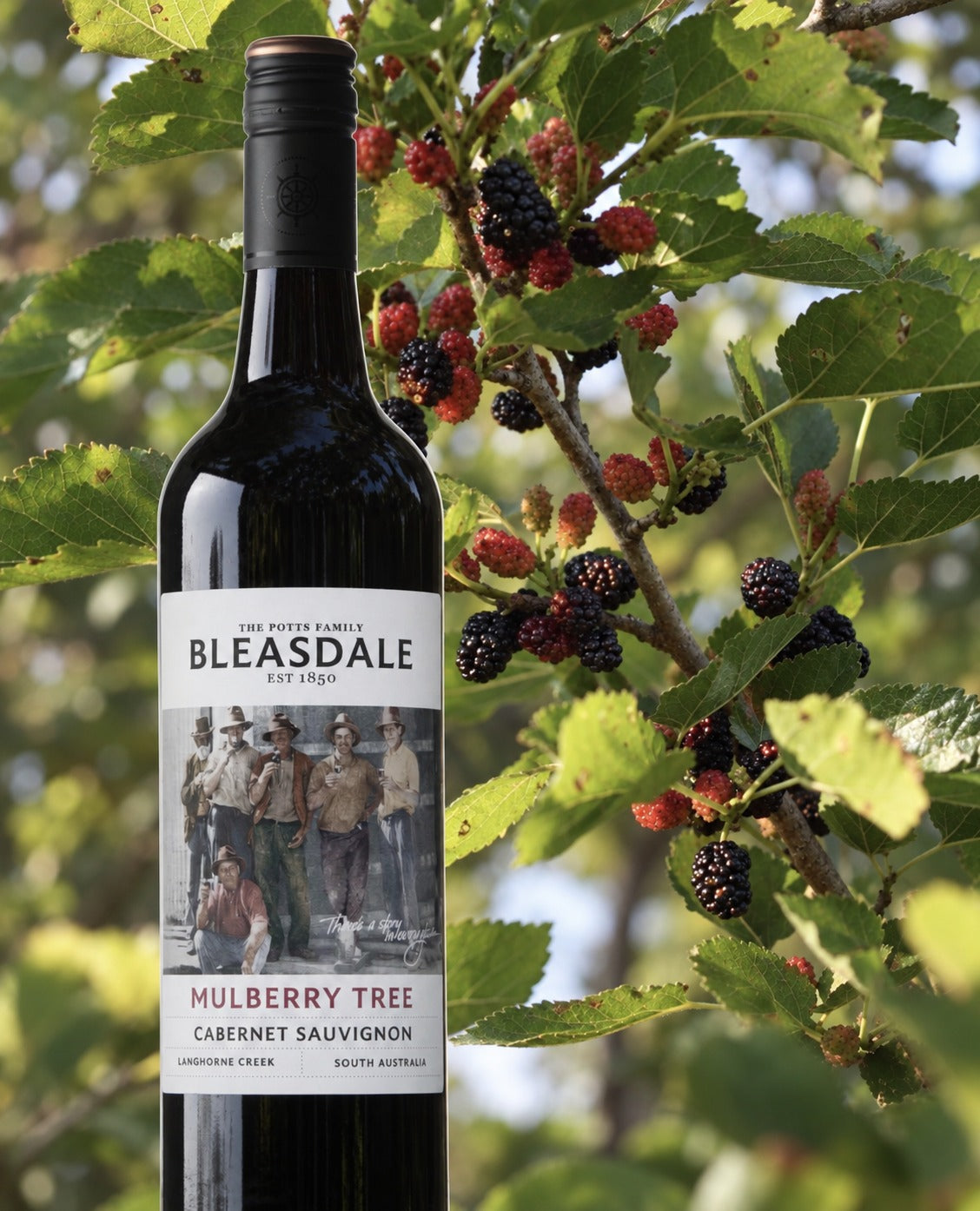 Bleasdale Mulberry Tree Cabernet Sauvignon