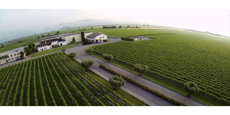 Tenuta Sant Helena Rocciaponca Pinot Grigio DOC Collio