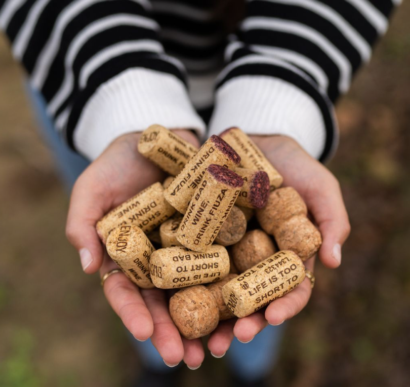 Fiuza Wines