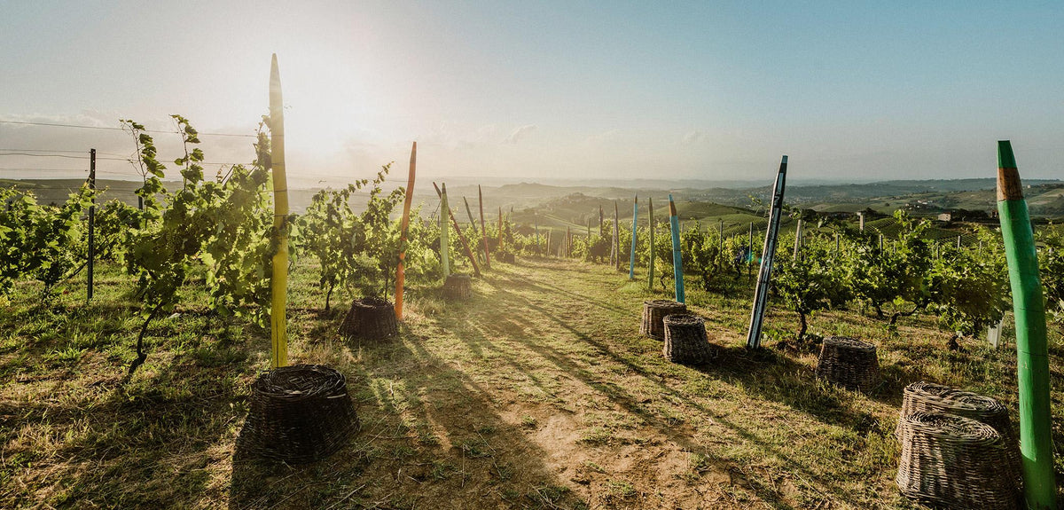 Bartenura Moscato d'Asti
