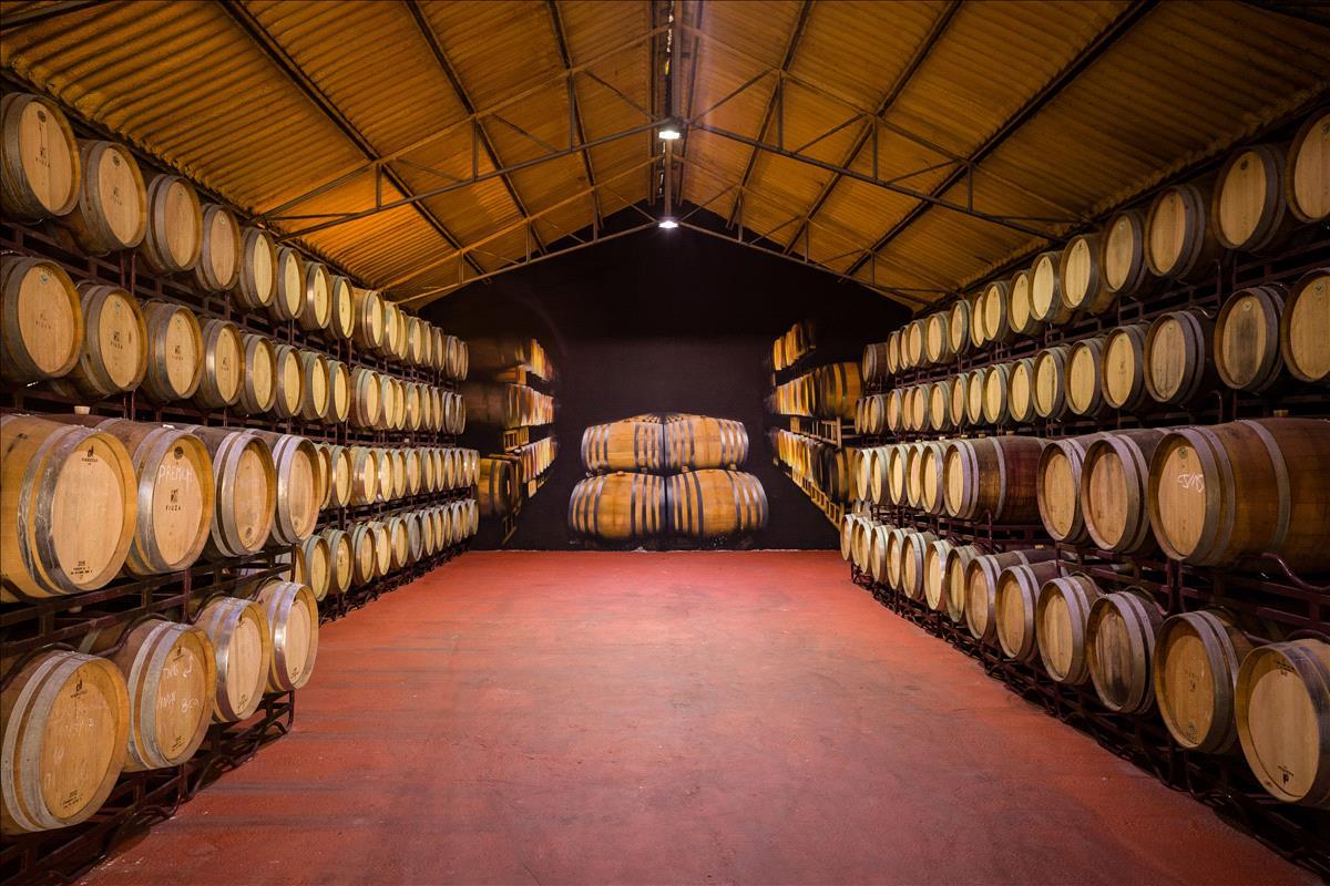 Fiuza Babu Reserva Red 2023