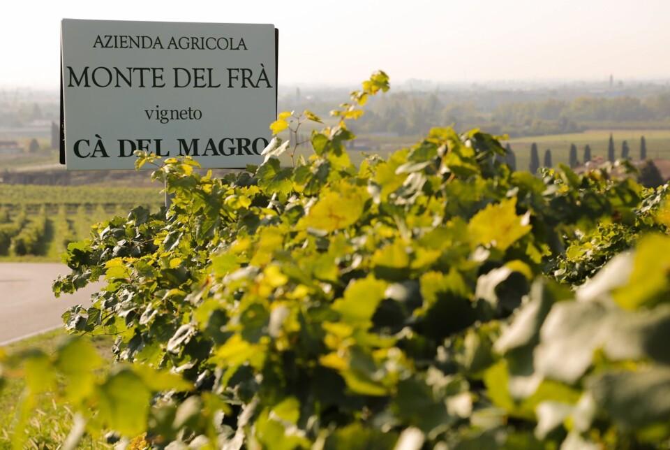 Cà del Magro Custoza Superiore DOC 2024