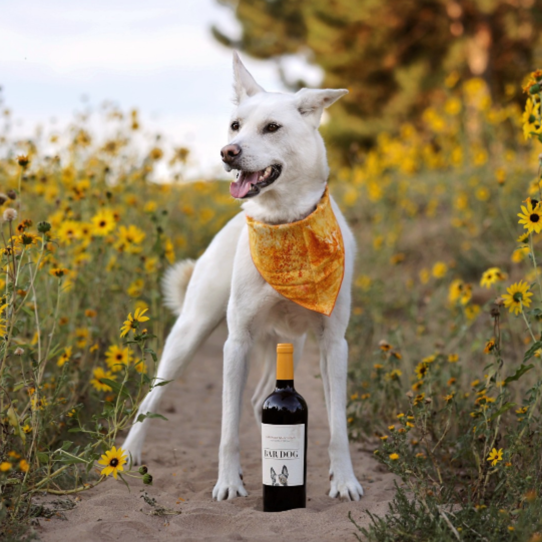 Bar Dog Cabernet Sauvignon