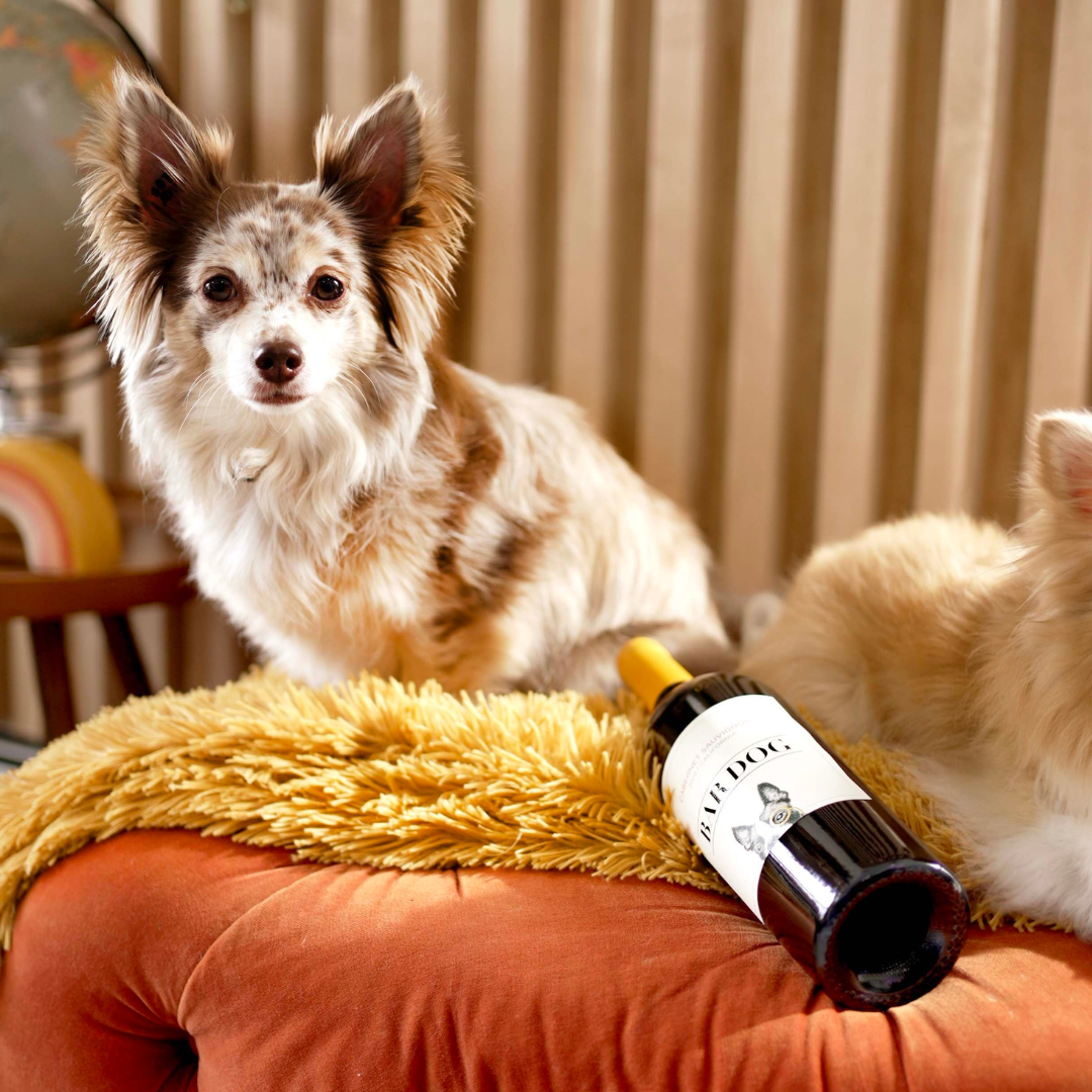 Bar Dog Cabernet Sauvignon